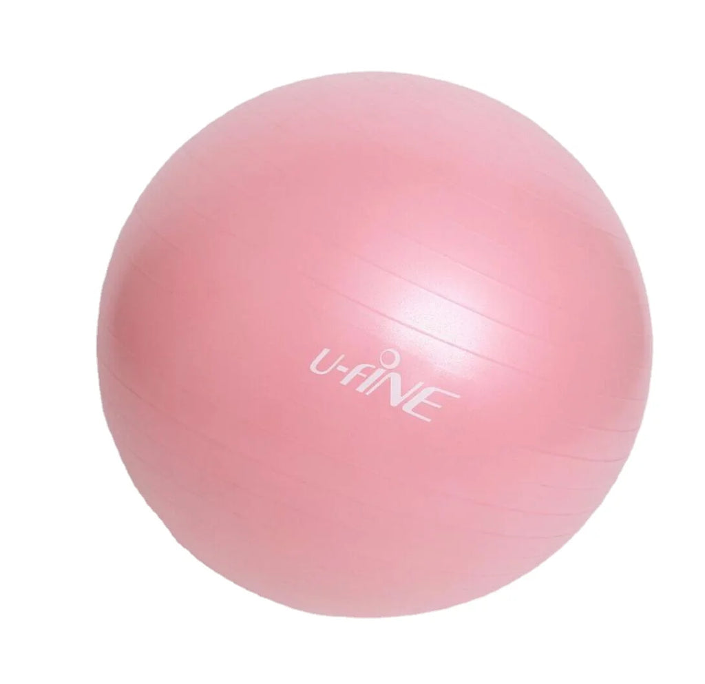 65cm CoreBalance Pro Stability Ball