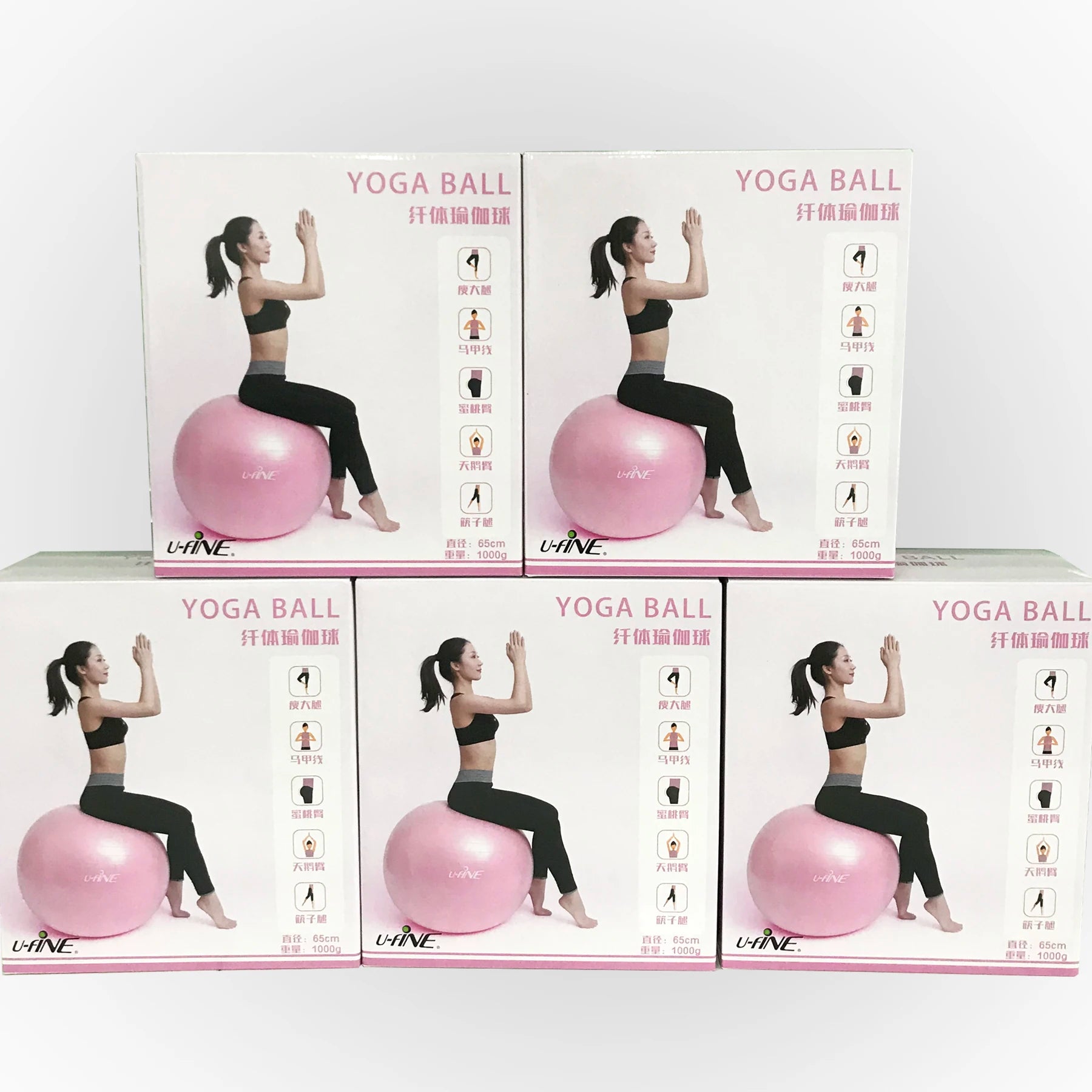 65cm CoreBalance Pro Stability Ball