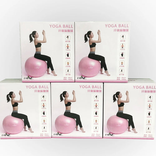 65cm CoreBalance Pro Stability Ball